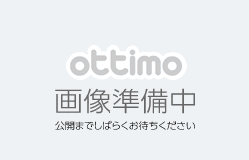 AR-CK11/CK12/ST12-B トナー海外純正【送料無料】【代引不可】