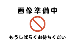 トナーカートリッジ069 マゼンタ(CRG-069MAG)純正【送料無料】