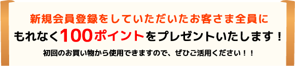 新規会員登録でもれなく100ポイントプレゼントします！